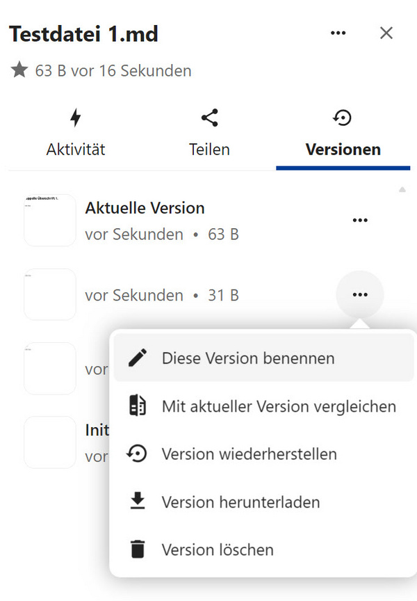 Der Reiter "Versionen" in der Seitenleiste mit geöffnetem Drei-Punkte-Menü