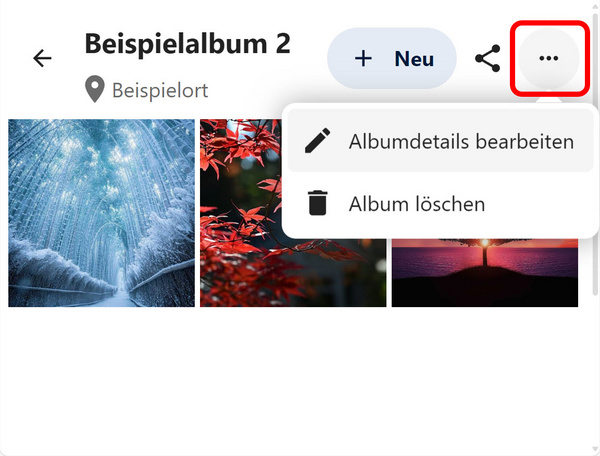 Das Drei-Punkte-Menü für Alben mit den Optionen "Albumdetails bearbeiten" und "Album löschen"