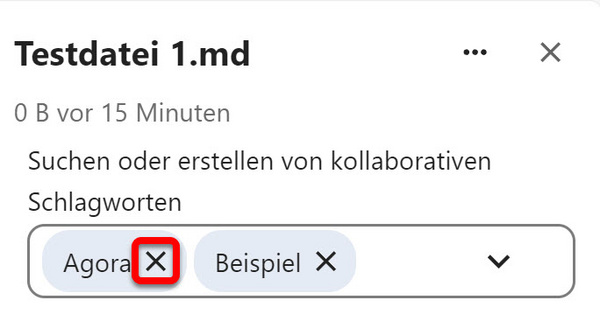 Zugewiesene Schlagwörter mit der Schaltfläche "Abwählen" (X-Symbol)