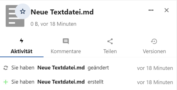 Datei Detailansicht