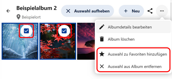 Medienauswahl im Album, Drei-Punkte-Menü mit zwei Zusatzoptionen